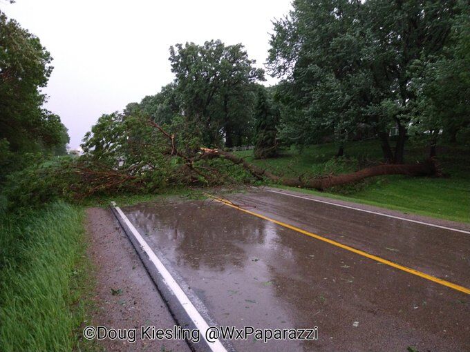 Tree blocking road near New Richland